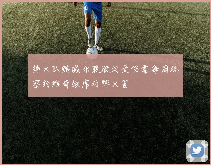 热火队鲍威尔腹股沟受伤需每周观察约维奇缺席对阵火箭