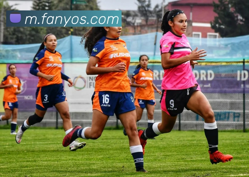 九游网官网j9APP 封面图